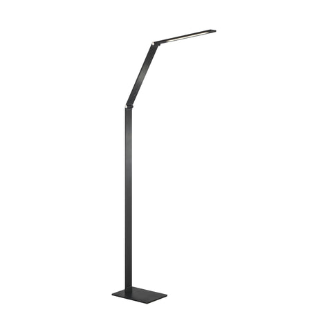 P082 LED Floor Lamp