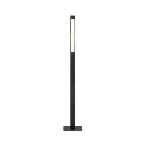 P086 LED Floor Lamp