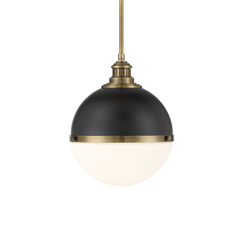 Vorey Outdoor Pendant Light