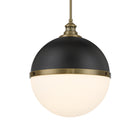 Vorey Outdoor Pendant Light