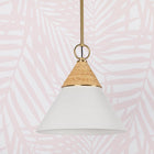 Mica Pendant Light
