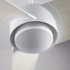 Ambit DC Ceiling Fan