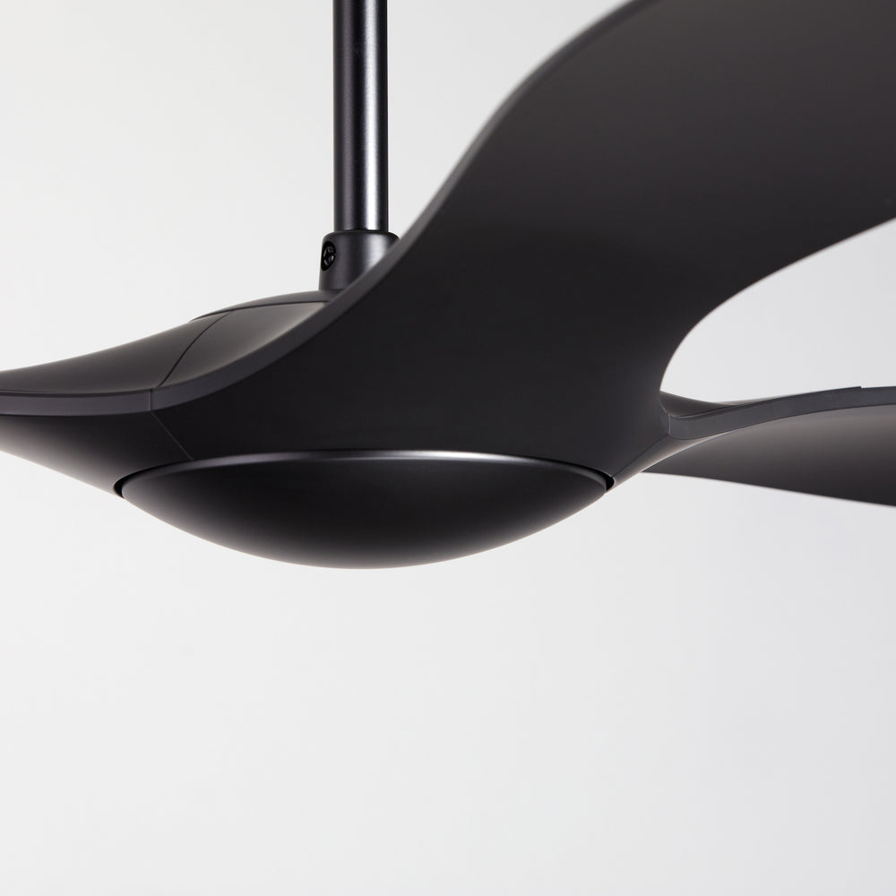 IC/Brisa DC Ceiling Fan