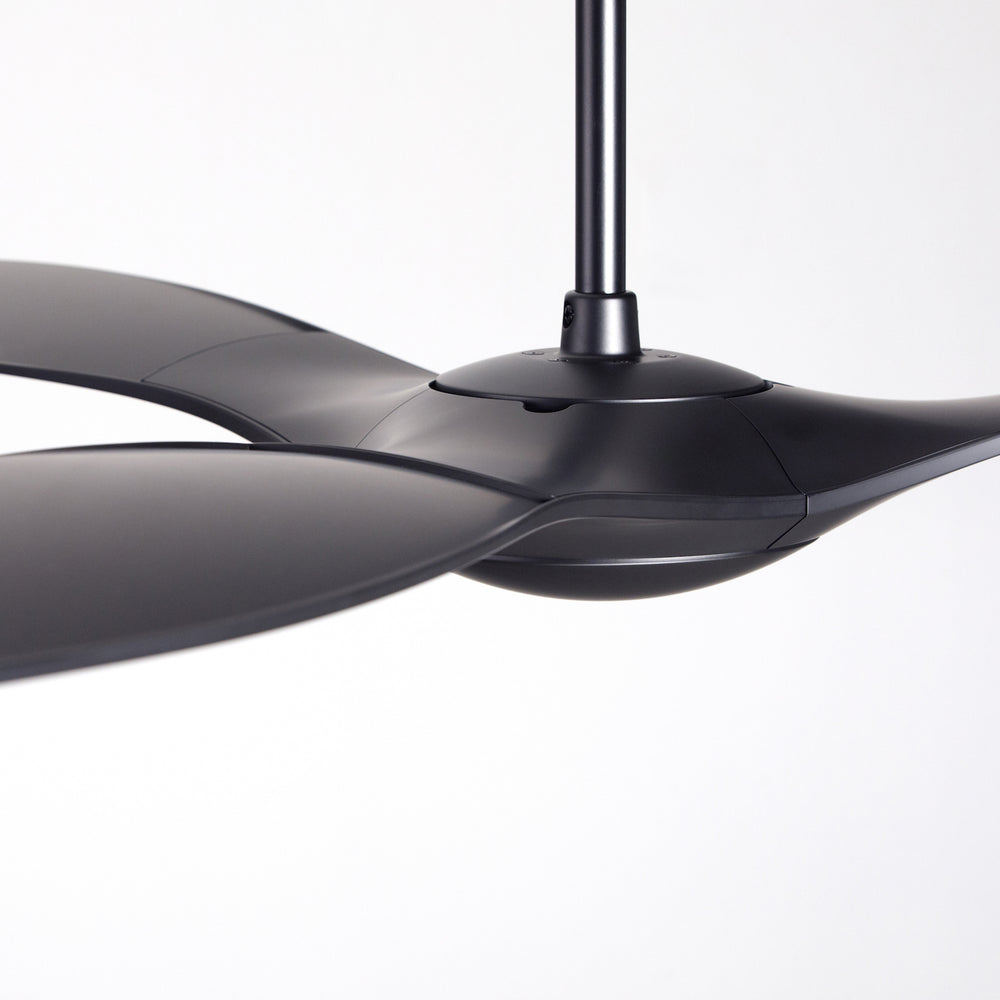 IC/Brisa DC Ceiling Fan