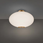 Illusion LED Flush Mount