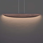 Kierfer LED Pendant Light