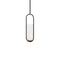 Rollins Mini LED Pendant Light  option Black