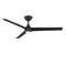 Pisces Indoor/Outdoor Smart Ceiling Fan  option Matte Black