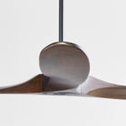 Maverick Max Indoor/Outdoor Ceiling Fan