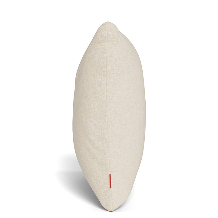 Toss Pillow (Set of 2)