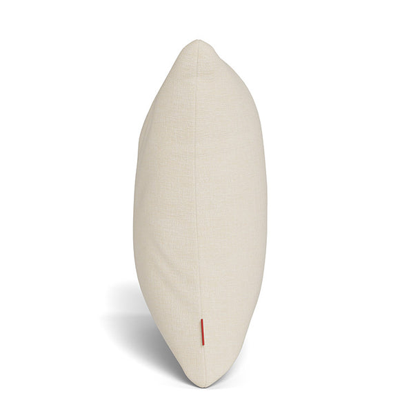 Toss Pillow (Set of 2)