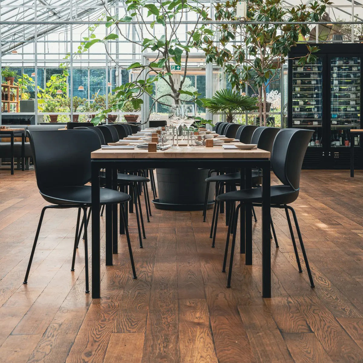 Moooi Hana Dining Chair (Set of 2) - 2Modern