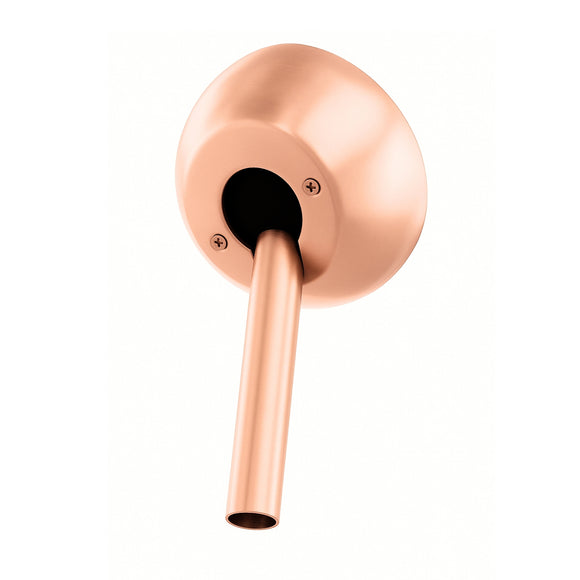 Slant Ceiling Mount Canopy