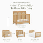Eloise 4-in-1 Convertible Crib