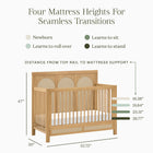 Eloise 4-in-1 Convertible Crib
