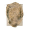Alga Rug  option Grey