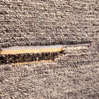 Colorado Rug
