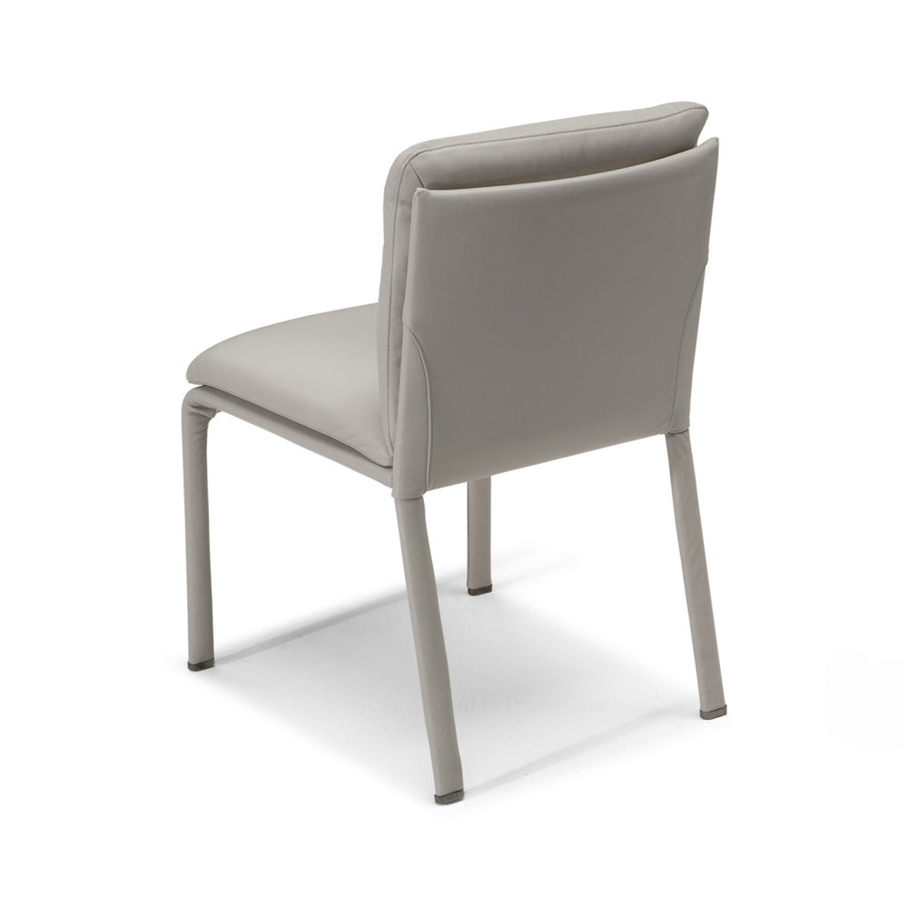 Ambra Dining Chair