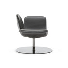 Dove Lounge Chair