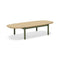 Terra Outdoor Coffee Table  option Olive