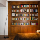 Fox LED Floor Lamp