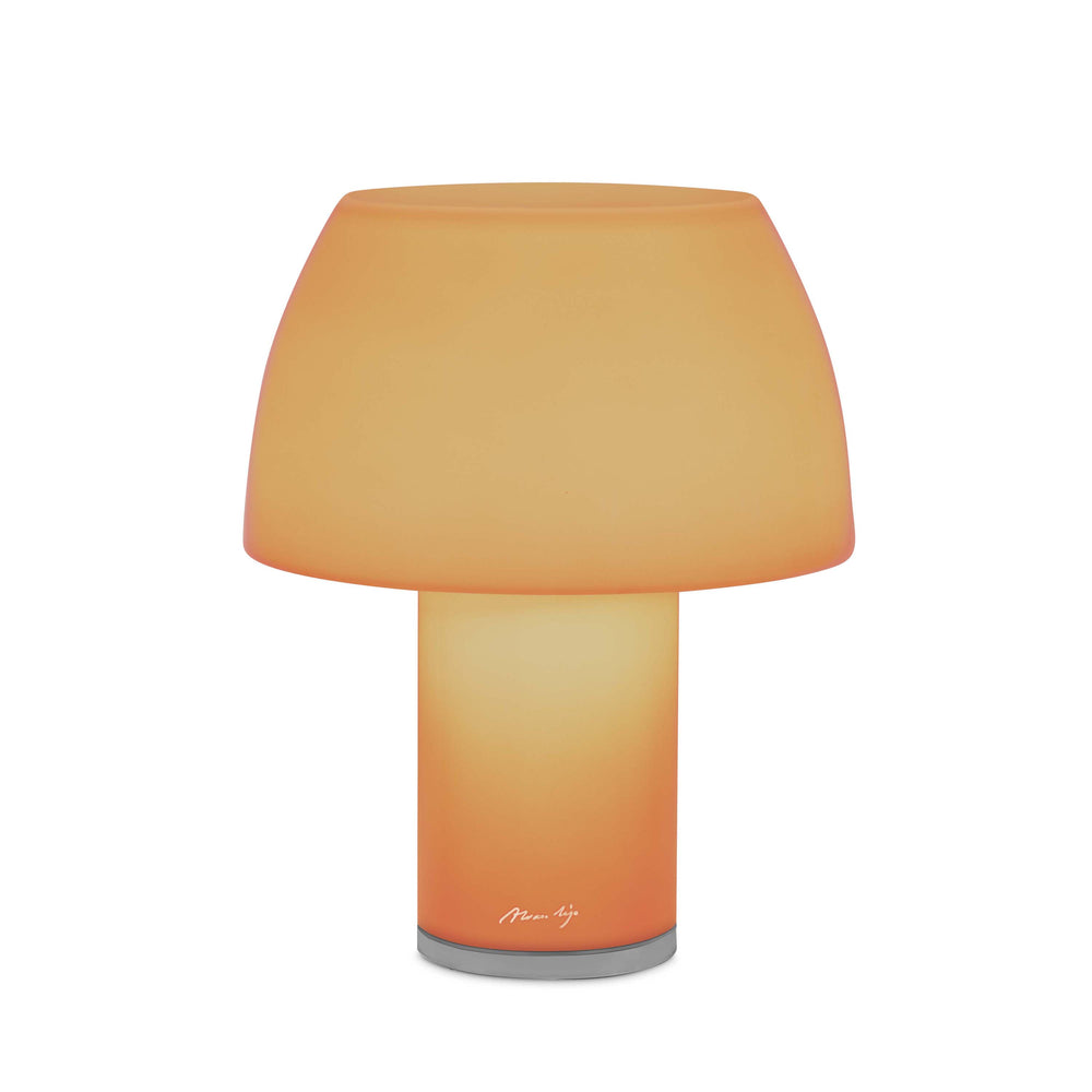 Lorosae Portable LED Table Lamp
