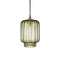 Calla Optique Pendant Light  option Moss Optique