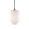 Calla Pendant Light  option Opaline