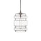Delinea LED Pendant Light  option Clear