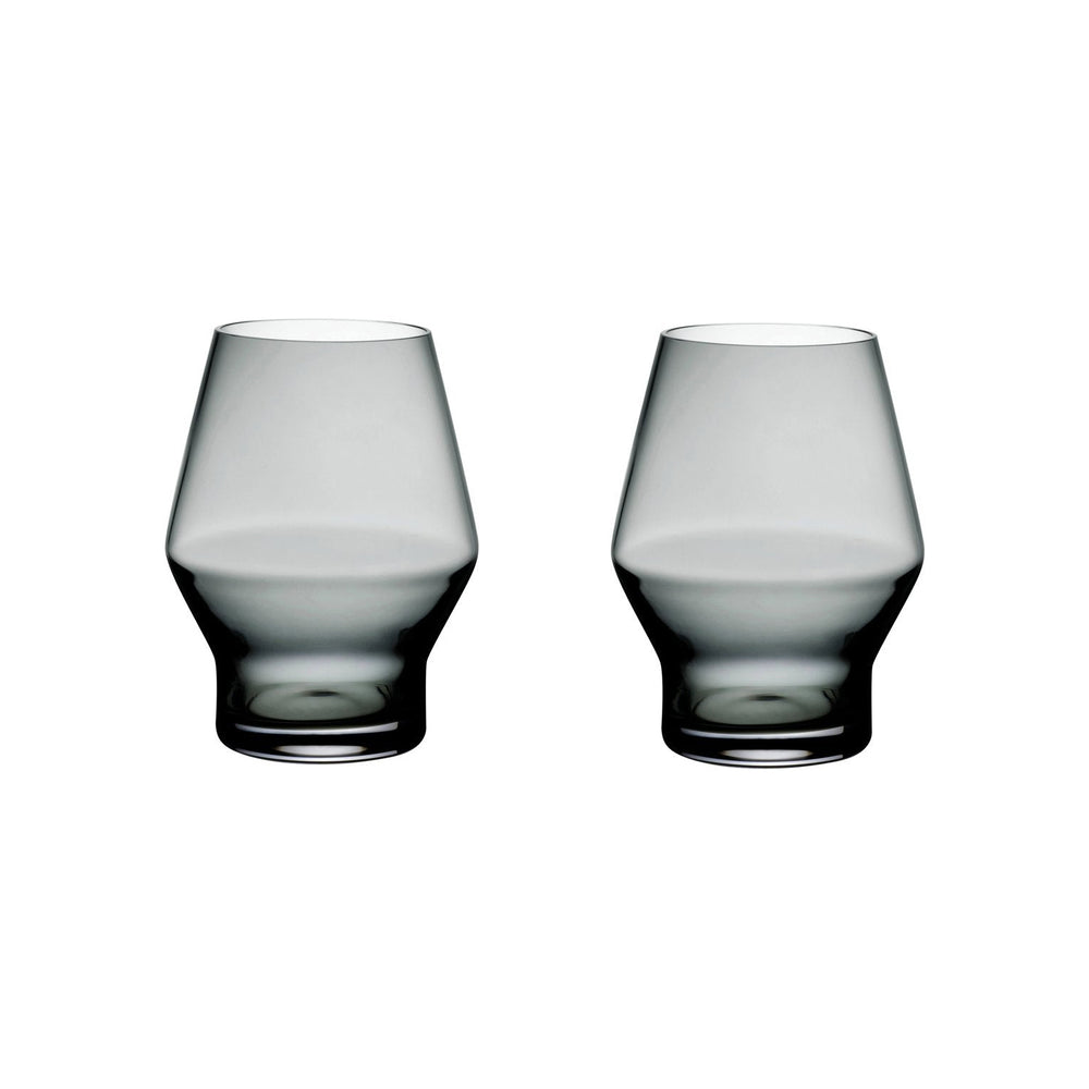 Beak Glass (Set of 2)