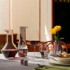 Beak Wine Decanter