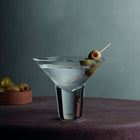 Gravity Martini Cocktail Glass (Set of 2)