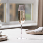 Round Up Sparkling Wine Glass (Set of 2)