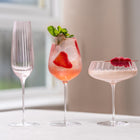 Round Up Sparkling Wine Glass (Set of 2)