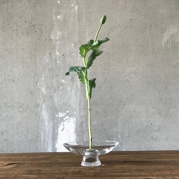Silhouette Bowl
