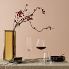 Stem Zero Water Glass (Set of 2)