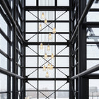 Anoli Cluster Pendant Light
