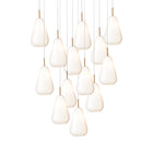 Anoli Cluster Pendant Light
