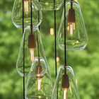 Anoli Cluster Pendant Light
