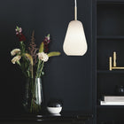 Anoli Pendant Light