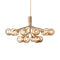 Apiales Chandelier  option Brushed Brass