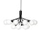 Apiales Chandelier  option Satin Black