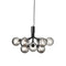Apiales Chandelier  option Optic Smoked