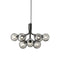 Apiales Chandelier  option Smoked Black
