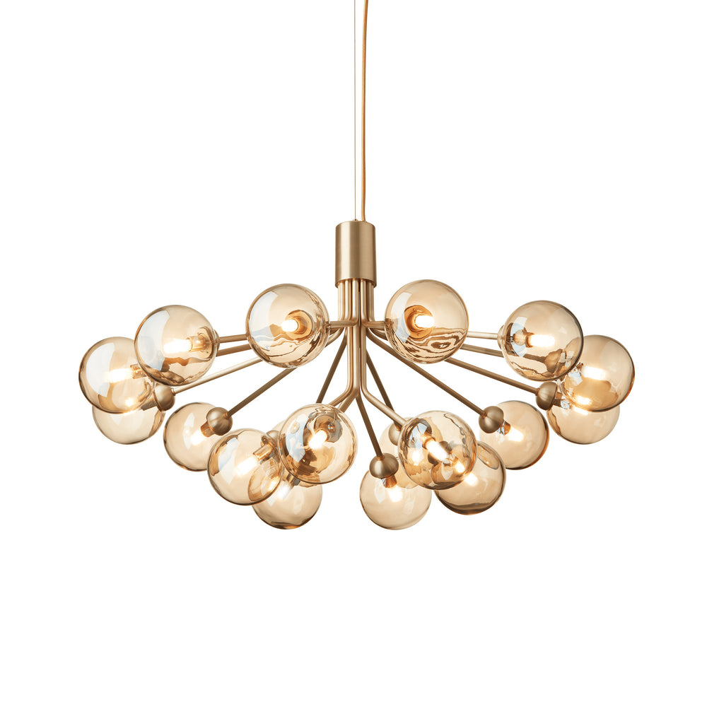 Apiales Chandelier