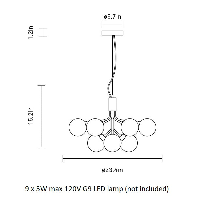 Apiales Chandelier