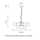 Apiales Chandelier