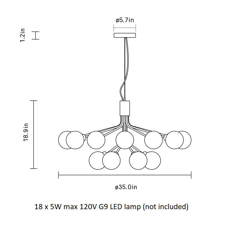 Apiales Chandelier