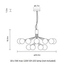 Apiales Chandelier