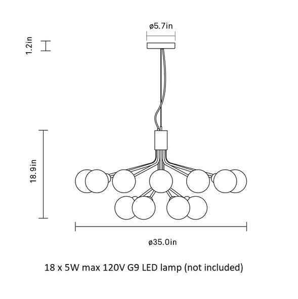 Apiales Chandelier